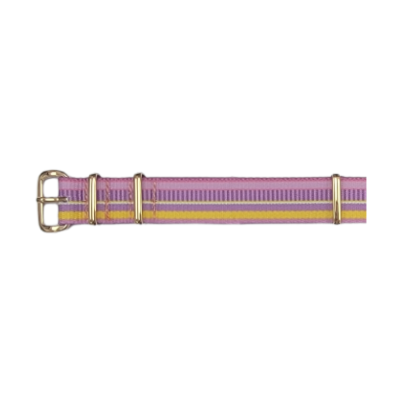 PR05C_1 Nylon Strap.png